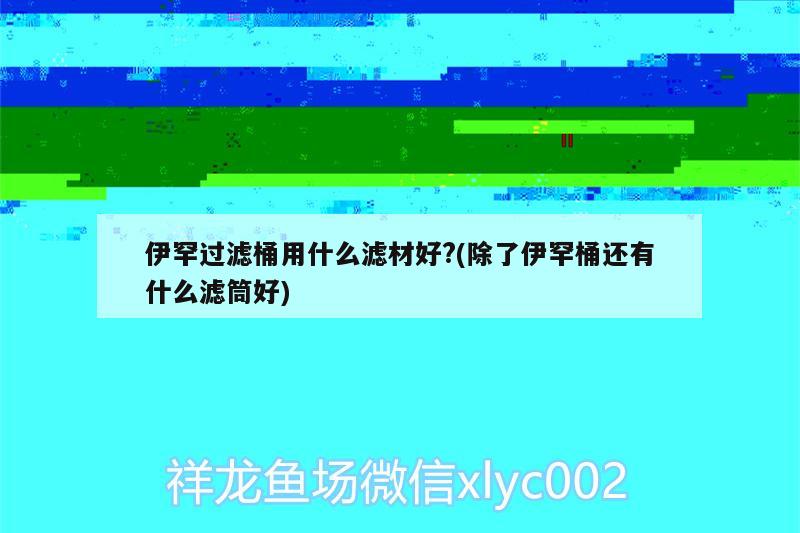 伊罕过滤桶用什么滤材好?(除了伊罕桶还有什么滤筒好)