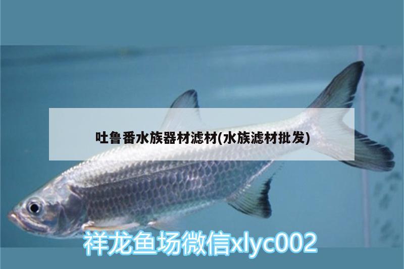 吐鲁番水族器材滤材(水族滤材批发) 印尼红龙鱼