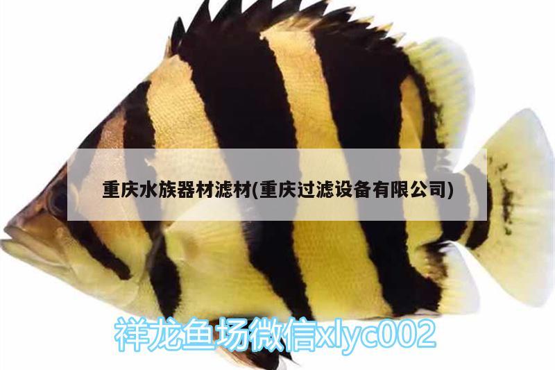 重庆水族器材滤材(重庆过滤设备有限公司)