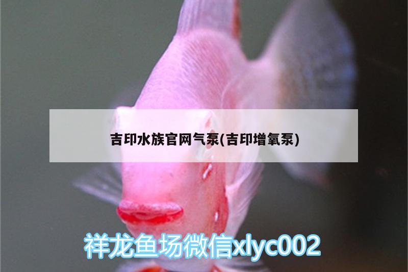 吉印水族官网气泵(吉印增氧泵)