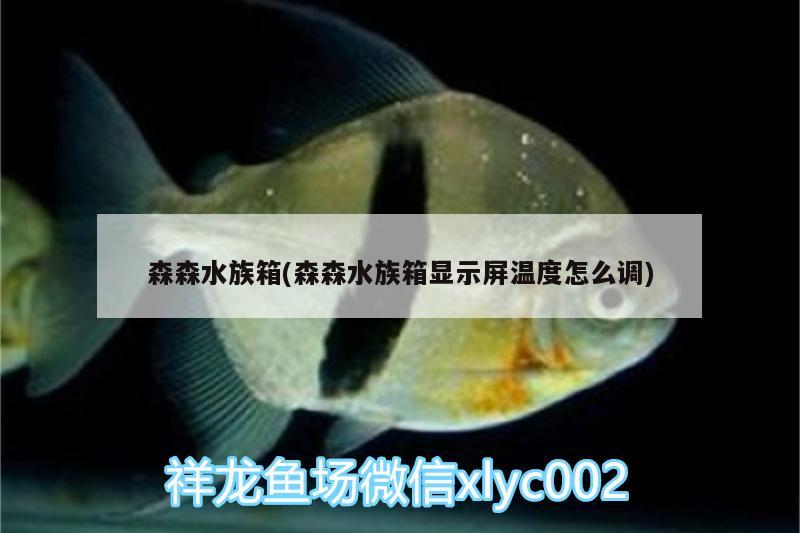 森森水族箱(森森水族箱显示屏温度怎么调)