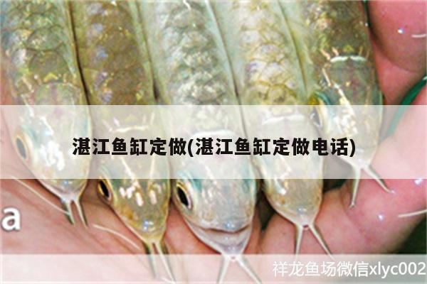 湛江鱼缸定做(湛江鱼缸定做电话) 白子关刀鱼