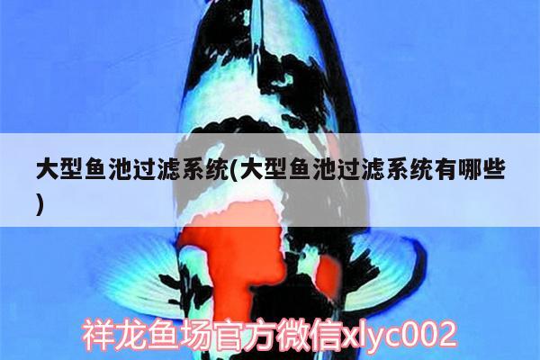 大型鱼池过滤系统(大型鱼池过滤系统有哪些) 水族用品