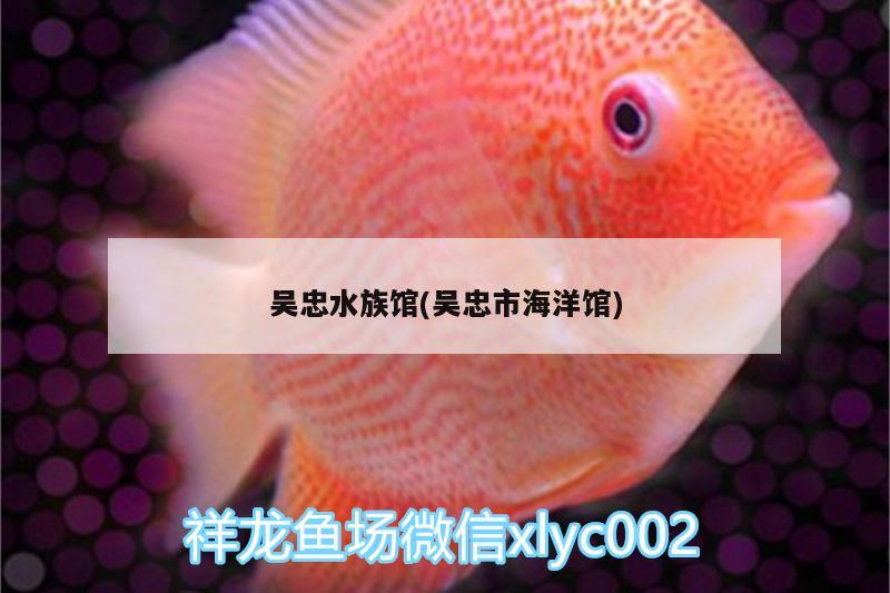 吴忠水族馆(吴忠市海洋馆) 冲氧泵