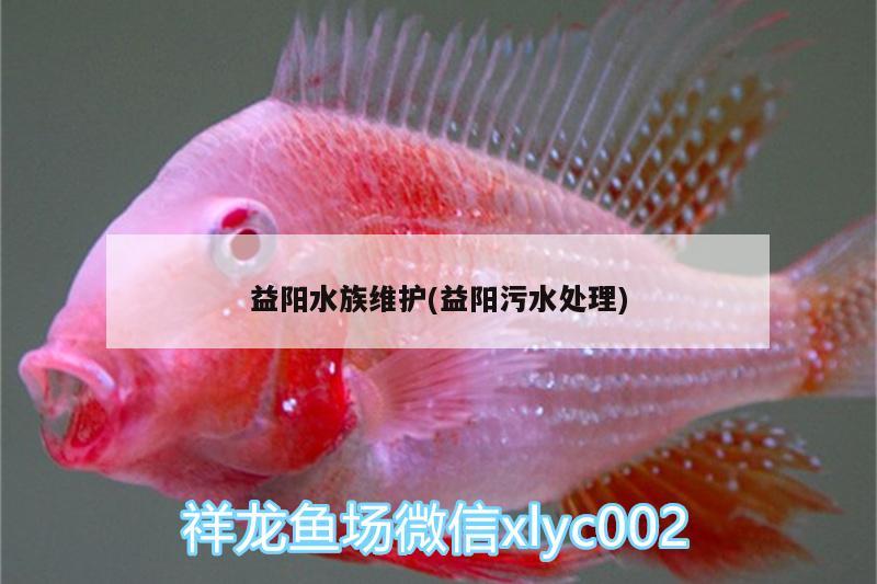 益阳水族维护(益阳污水处理)