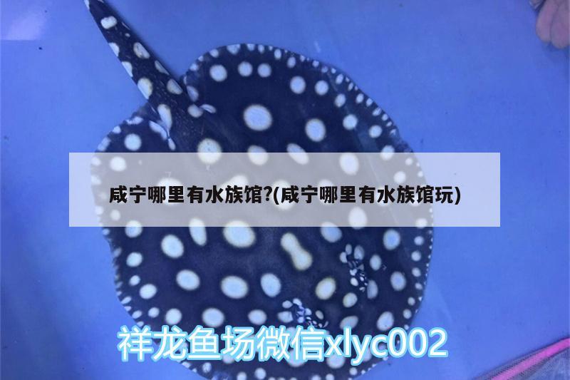 咸宁哪里有水族馆?(咸宁哪里有水族馆玩)