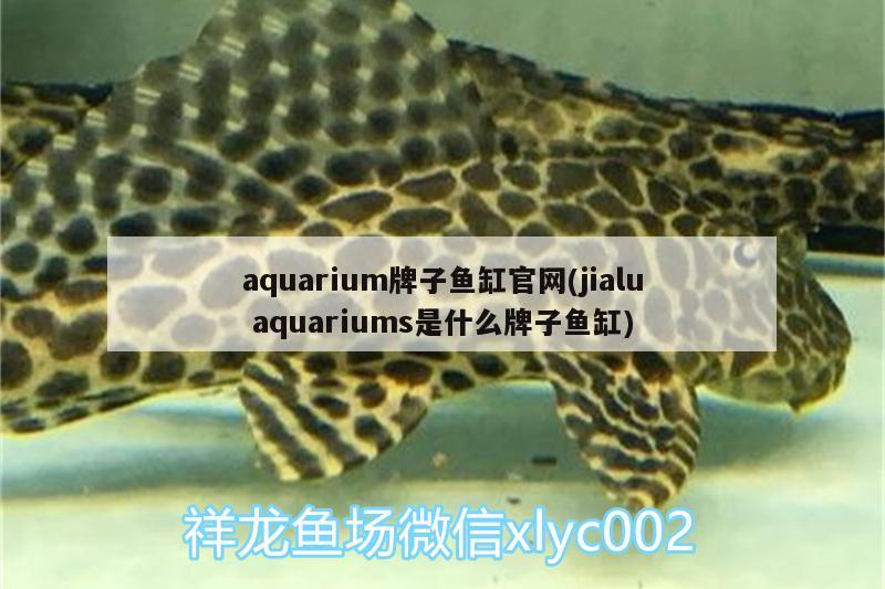 aquarium牌子鱼缸官网(jialuaquariums是什么牌子鱼缸)