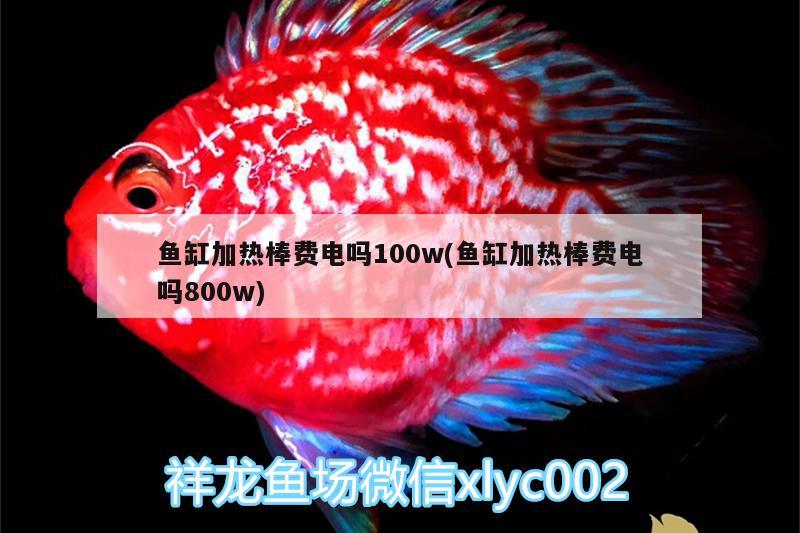 鱼缸加热棒费电吗100w(鱼缸加热棒费电吗800w) 金三间鱼