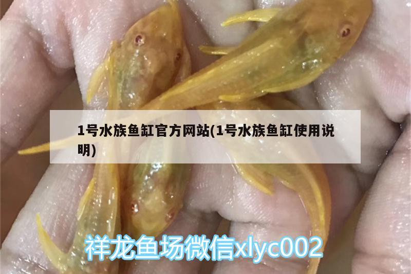 1号水族鱼缸官方网站(1号水族鱼缸使用说明) 黄金猫鱼