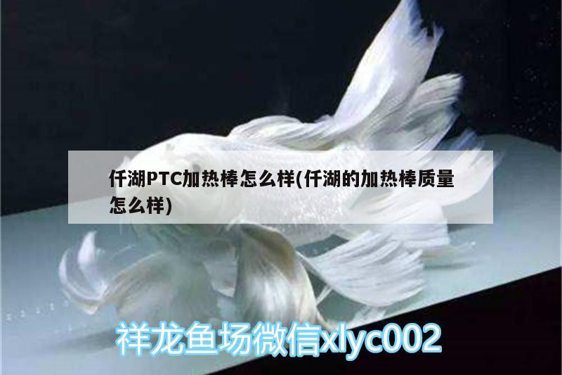 仟湖PTC加热棒怎么样(仟湖的加热棒质量怎么样) 仟湖