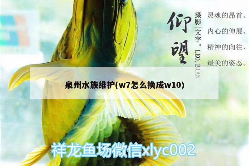 泉州水族维护(w7怎么换成w10)