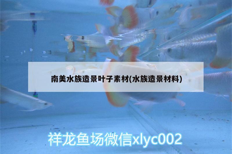 南美水族造景叶子素材(水族造景材料) PH调节剂