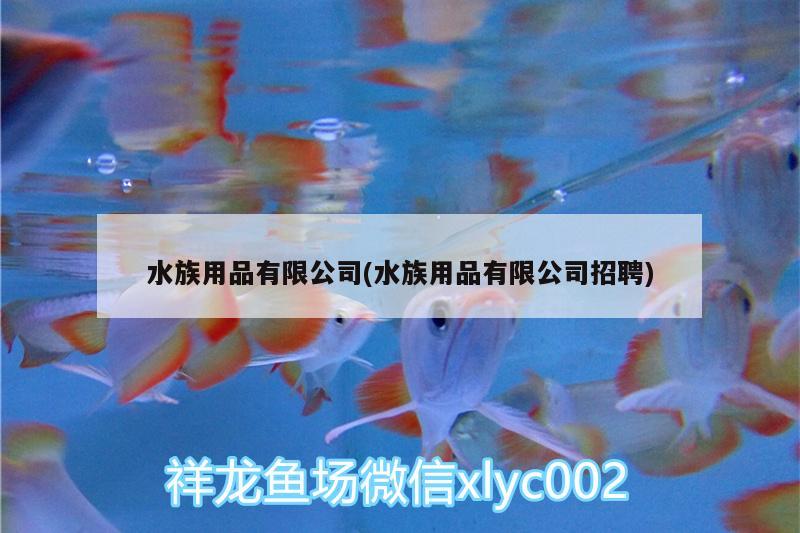 水族用品有限公司(水族用品有限公司招聘) 水族用品