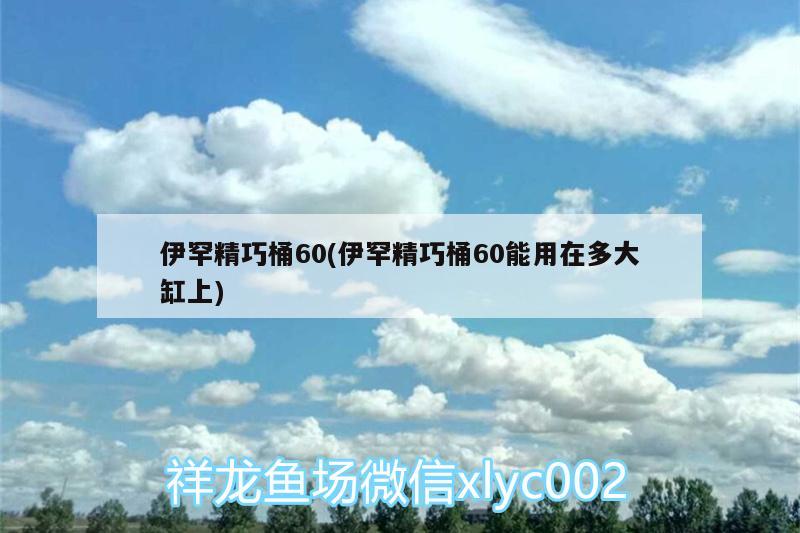 伊罕精巧桶60(伊罕精巧桶60能用在多大缸上) 伊罕水族