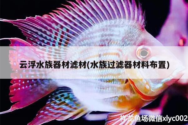 云浮水族器材滤材(水族过滤器材料布置)