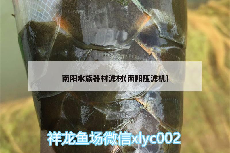 南阳水族器材滤材(南阳压滤机) 罗汉鱼