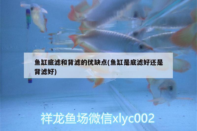 鱼缸底滤和背滤的优缺点(鱼缸是底滤好还是背滤好) 水族世界