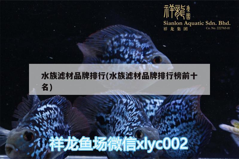 水族滤材品牌排行(水族滤材品牌排行榜前十名) 月光鸭嘴鱼苗