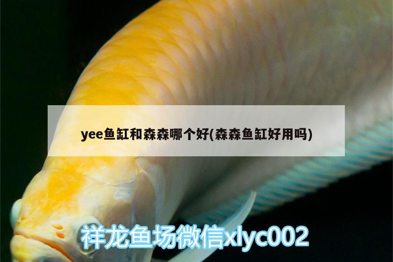 yee鱼缸和森森哪个好(森森鱼缸好用吗)