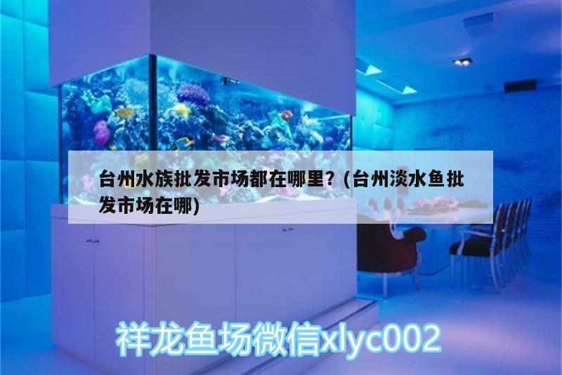 台州水族批发市场都在哪里？(台州淡水鱼批发市场在哪) 观赏鱼水族批发市场