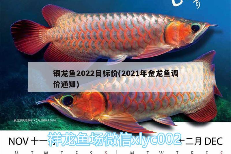 银龙鱼2022目标价(2021年金龙鱼调价通知) 银龙鱼