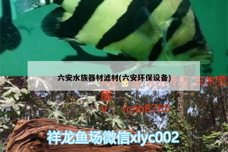 六安水族器材滤材(六安环保设备)