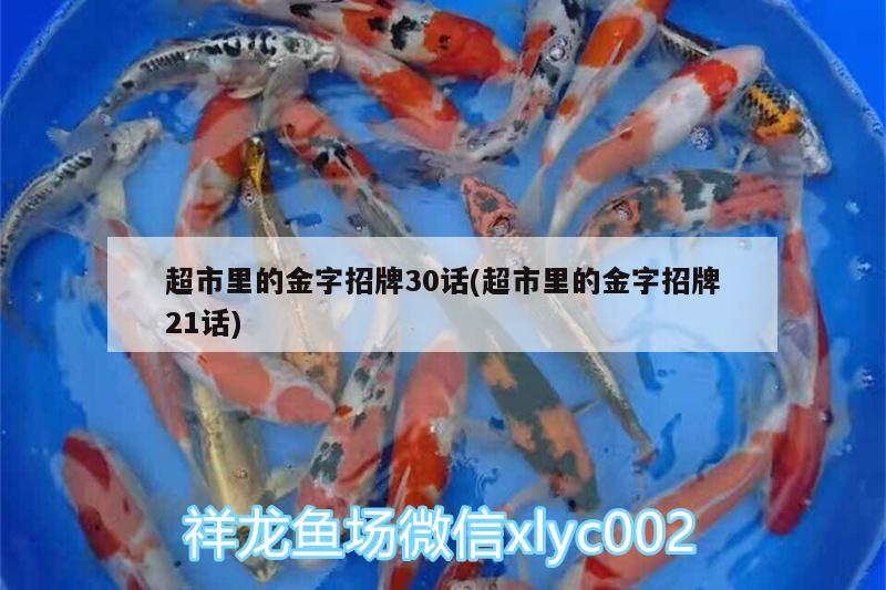 超市里的金字招牌30话(超市里的金字招牌21话)