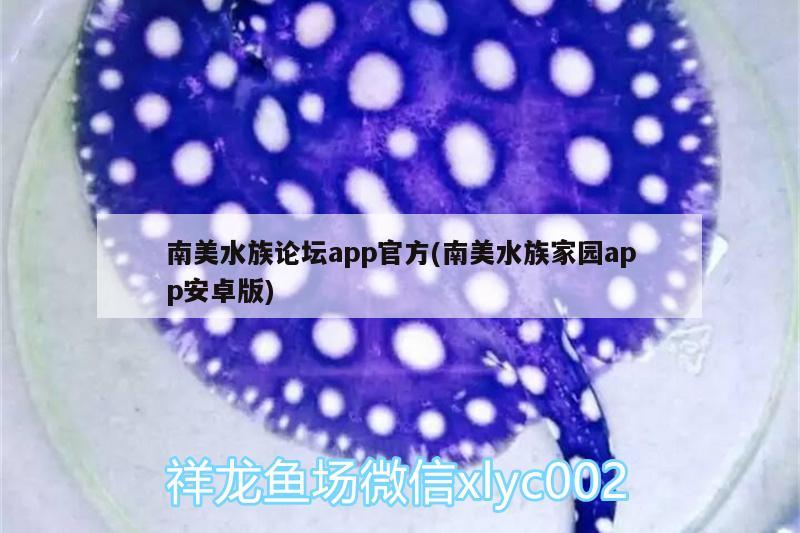 南美水族论坛app官方(南美水族家园app安卓版)