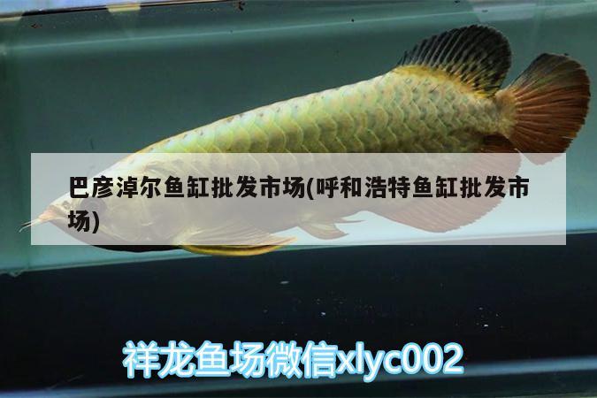 巴彦淖尔鱼缸批发市场(呼和浩特鱼缸批发市场) 水族灯（鱼缸灯）