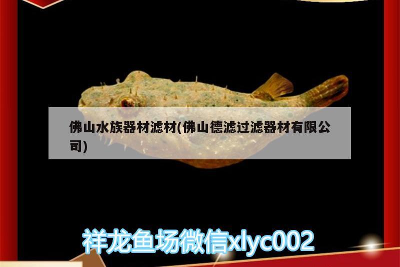 佛山水族器材滤材(佛山德滤过滤器材有限公司) 祥龙水族护理水