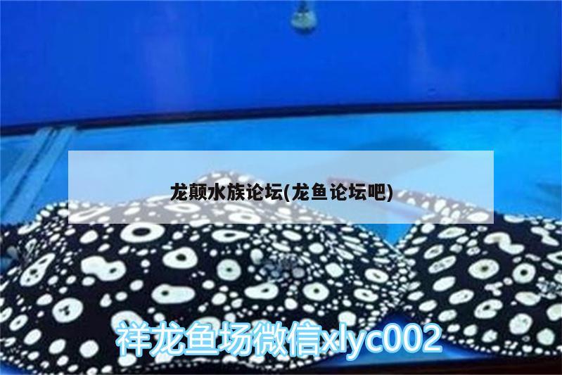 龙颠水族论坛(龙鱼论坛吧) 虎鱼百科