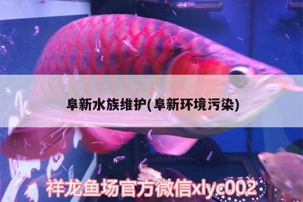 阜新水族维护(阜新环境污染) 水族用品