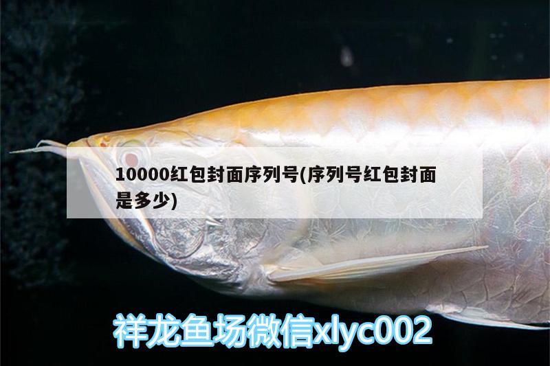 10000红包封面序列号(序列号红包封面是多少)