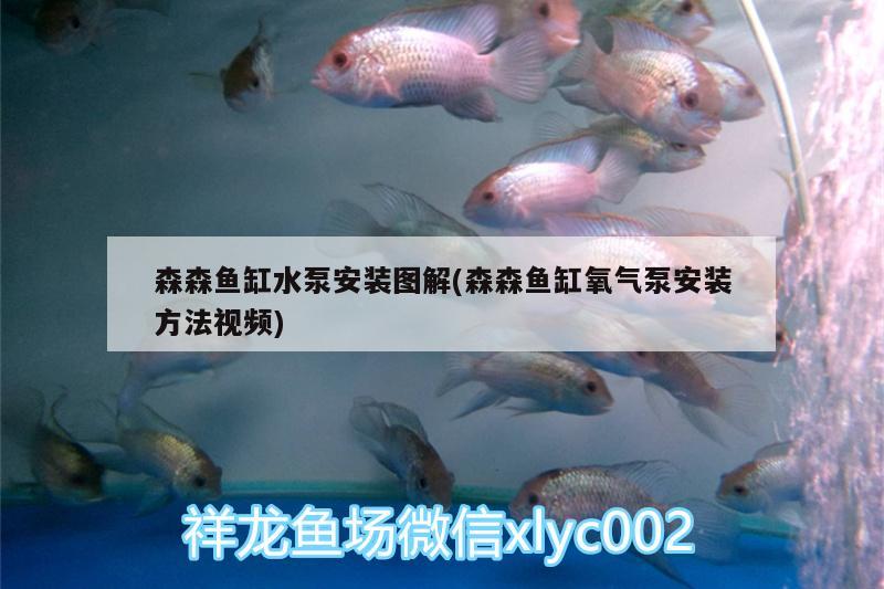 森森鱼缸水泵安装图解(森森鱼缸氧气泵安装方法视频) 鱼缸水泵