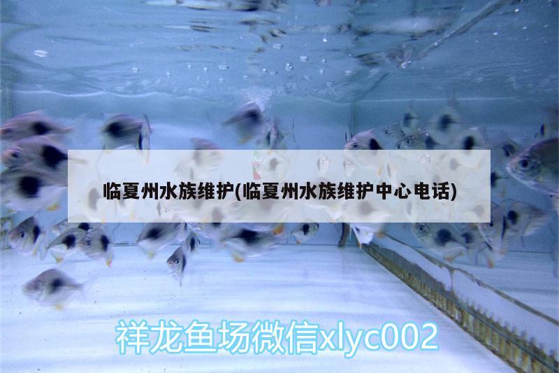 临夏州水族维护(临夏州水族维护中心电话)