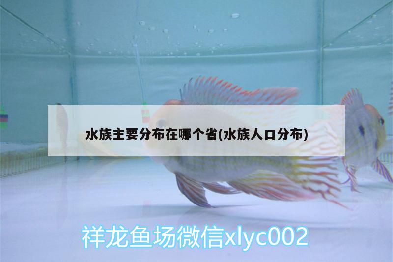 水族主要分布在哪个省(水族人口分布) 大湖红龙鱼