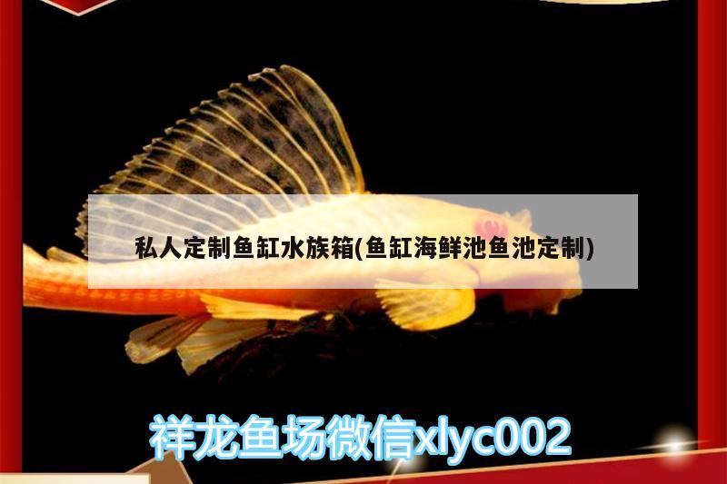 私人定制鱼缸水族箱(鱼缸海鲜池鱼池定制) 鱼缸/水族箱