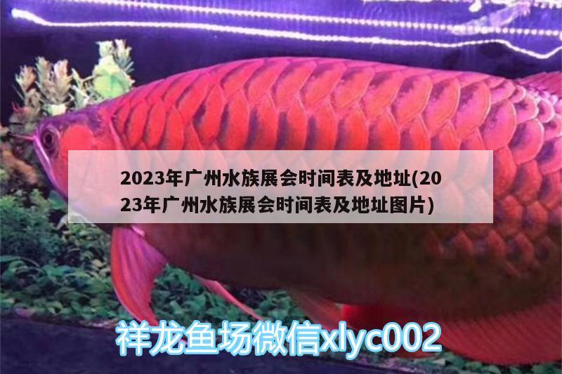 2023年广州水族展会时间表及地址(2023年广州水族展会时间表及地址图片)