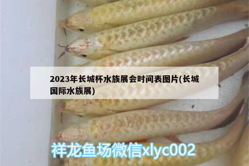 2023年长城杯水族展会时间表图片(长城国际水族展)