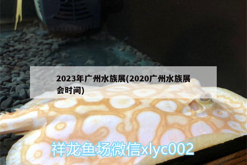 2023年广州水族展(2020广州水族展会时间) 水族展会