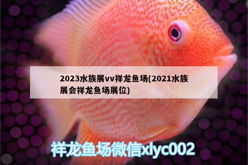 2023水族展vv祥龙鱼场(2021水族展会祥龙鱼场展位)