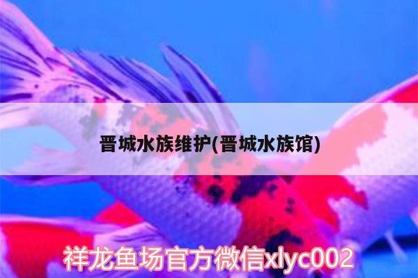 晋城水族维护(晋城水族馆) 金龙鱼粮