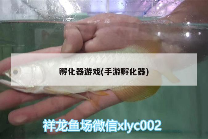 孵化器游戏(手游孵化器) 孵化器