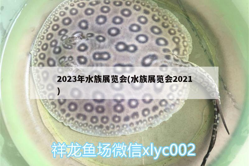 2023年水族展览会(水族展览会2021)