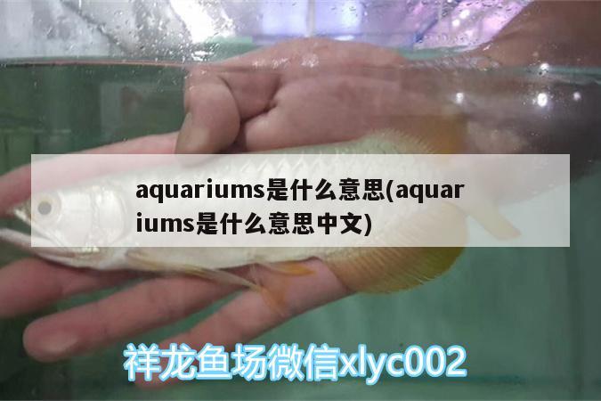 aquariums是什么意思(aquariums是什么意思中文)