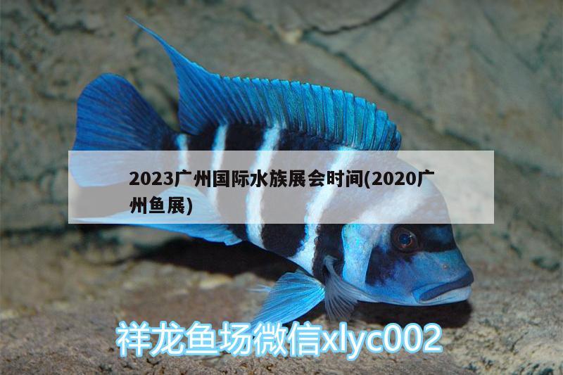 2023广州国际水族展会时间(2020广州鱼展)