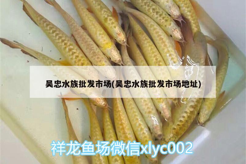 吴忠水族批发市场(吴忠水族批发市场地址) 观赏鱼水族批发市场