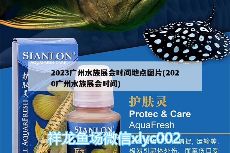 2023广州水族展会时间地点图片(2020广州水族展会时间) 水族展会