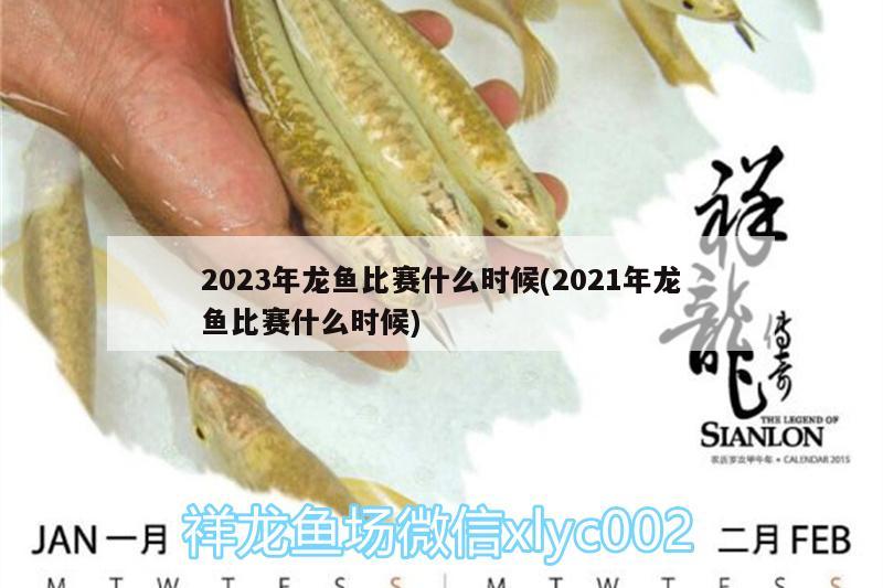 2023年龙鱼比赛什么时候(2021年龙鱼比赛什么时候) 观赏鱼水族批发市场