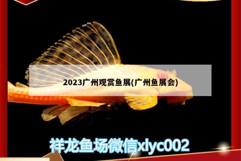 2023广州观赏鱼展(广州鱼展会) 观赏鱼水族批发市场